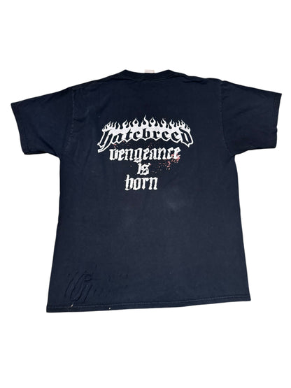 Hatebreed vengeance